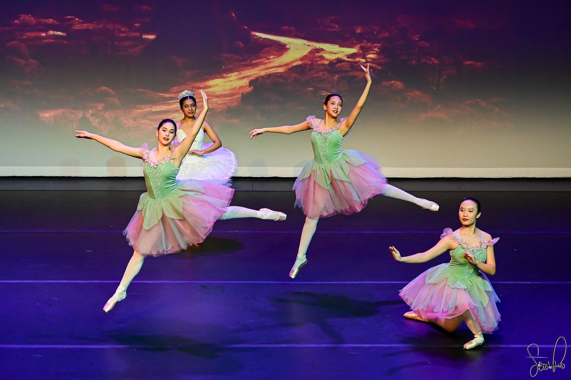 Members of the ballet company performing on stage.